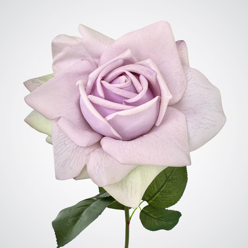 Lilac Tea Rose