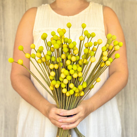 Pops of Sunshine