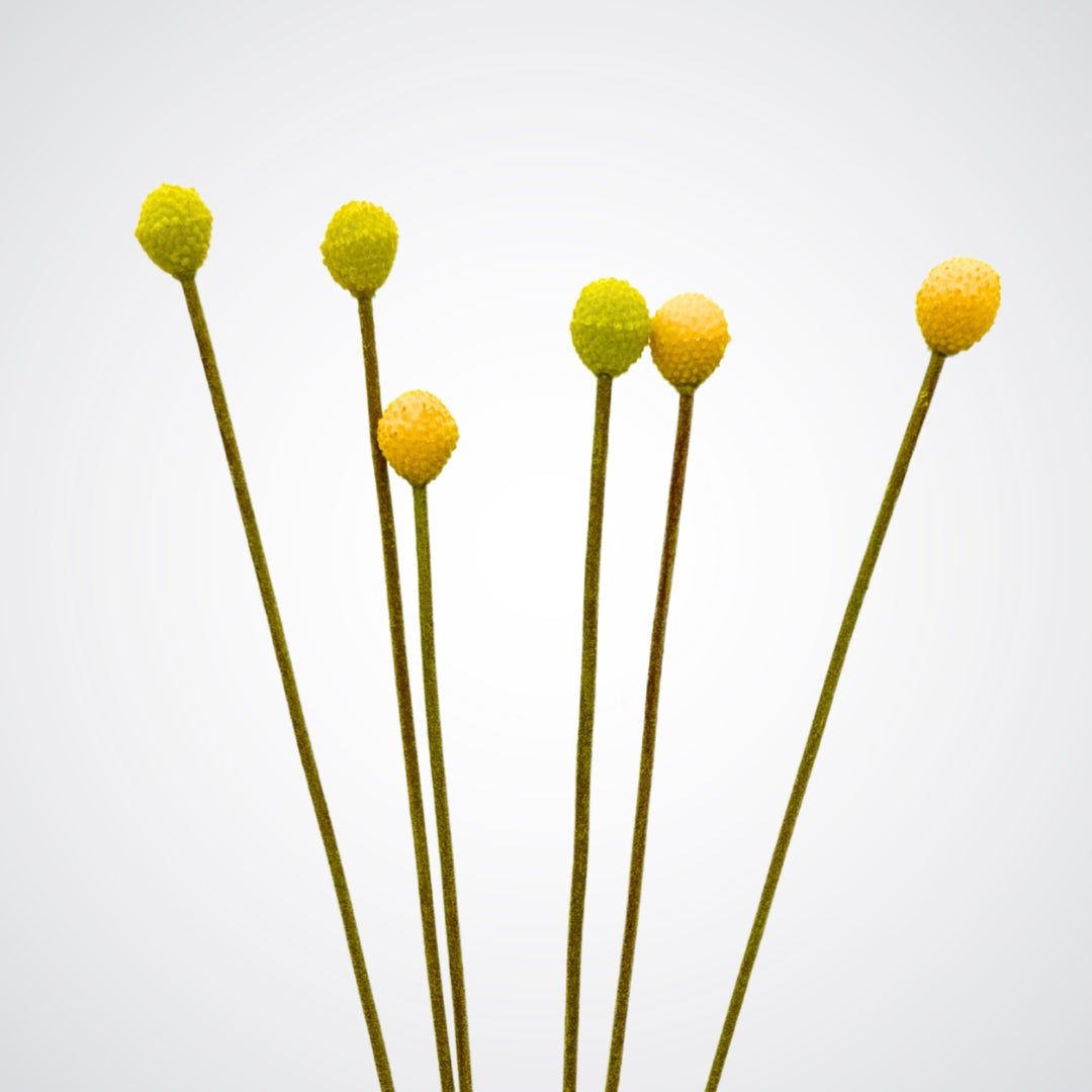 Yellow faux flower balls on green stems against a white background from My Faux Florist Canada