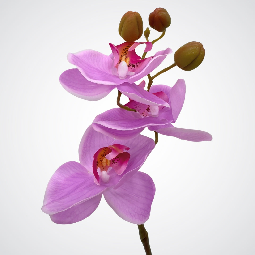 View of 3 blooms on bloom head of a bright pink fuchsia artificial orchid flower with Real Touch petals by My Faux Florist Canada.