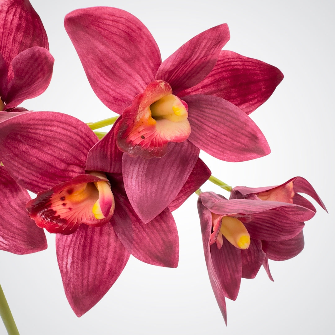 Close-up of wine fake orchid stem on a white background from My Faux Florist Canada