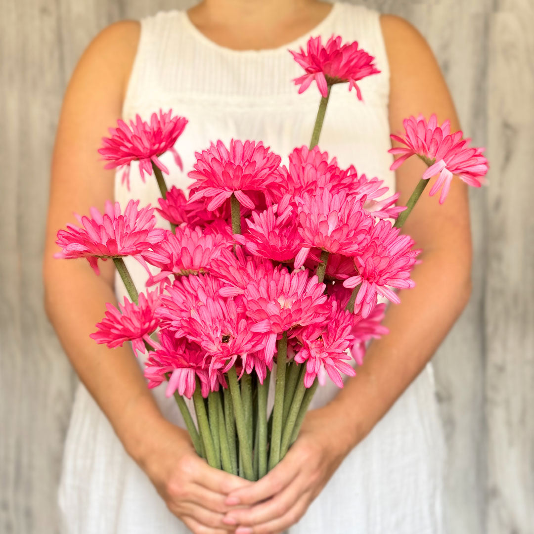 Fuchsia Artificial Gerbera Daisies