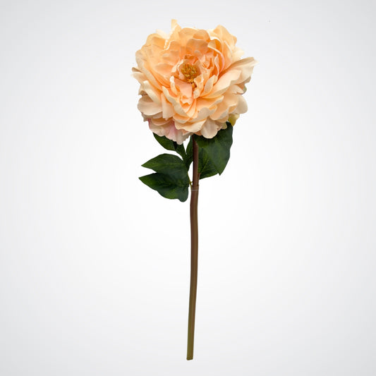Single artificial flower on white background.  Full length view of lifelike champagne-peach artificial peony with realistic open bloom.