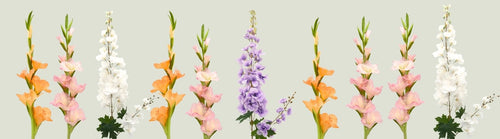 display of fake delphiniums and fake flowers line up on a green background by My Faux Florist Canada