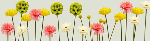 display of realistic faux flowers including fake daisies and fake scabiosa lined up on a green background by My Faux Florist canada