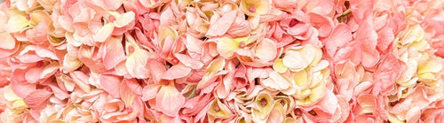 Close-up of pink and yellow fake hydrangeas with a soft focus and Real Touch flowers by My Faux Florist artificial flowers Canada.