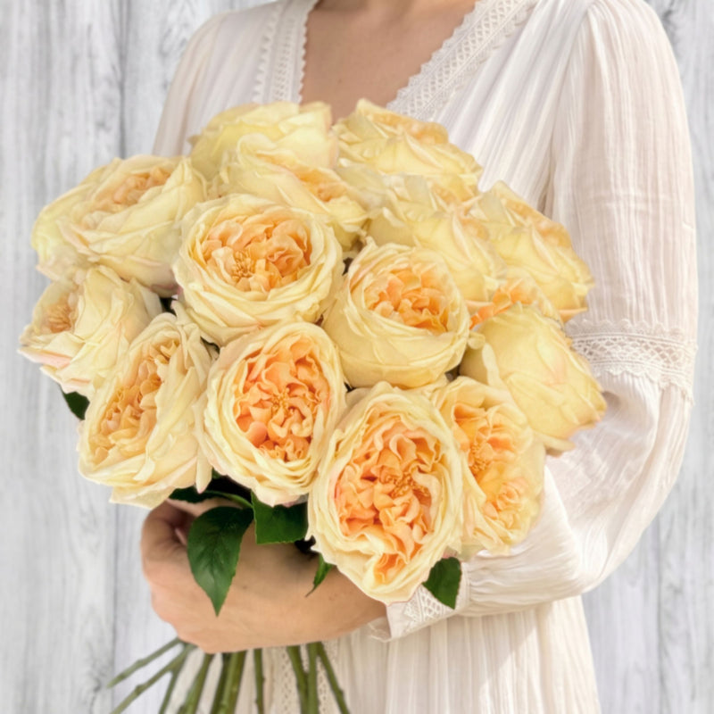 A person in a cream pleated dress holding a large bouquet of realistic peach roses with green leaves and stems, Real Touch roses, posed against a light gray wood-plank background. For My Faux Florist Canada