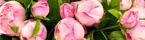 Bouquet of pink fake peonies with green leaves and Real Touch flowers by My Faux Florist artificial flowers Canada.
