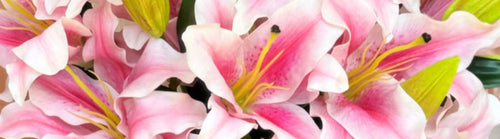 Close-up of pink realistic fake lilies with green leaves and Real Touch flowers by My Faux Florist artificial flowers Canada.