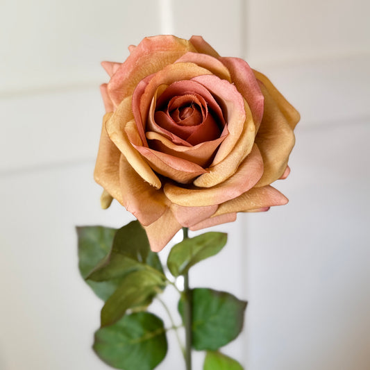 Pumpkin Spice Rose