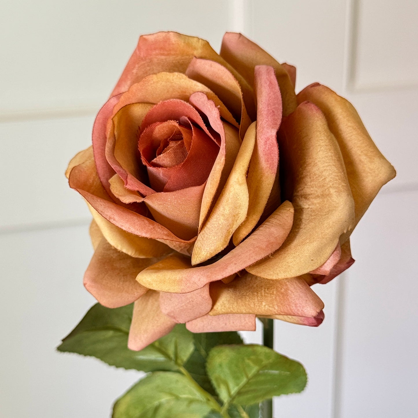 Pumpkin Spice Rose