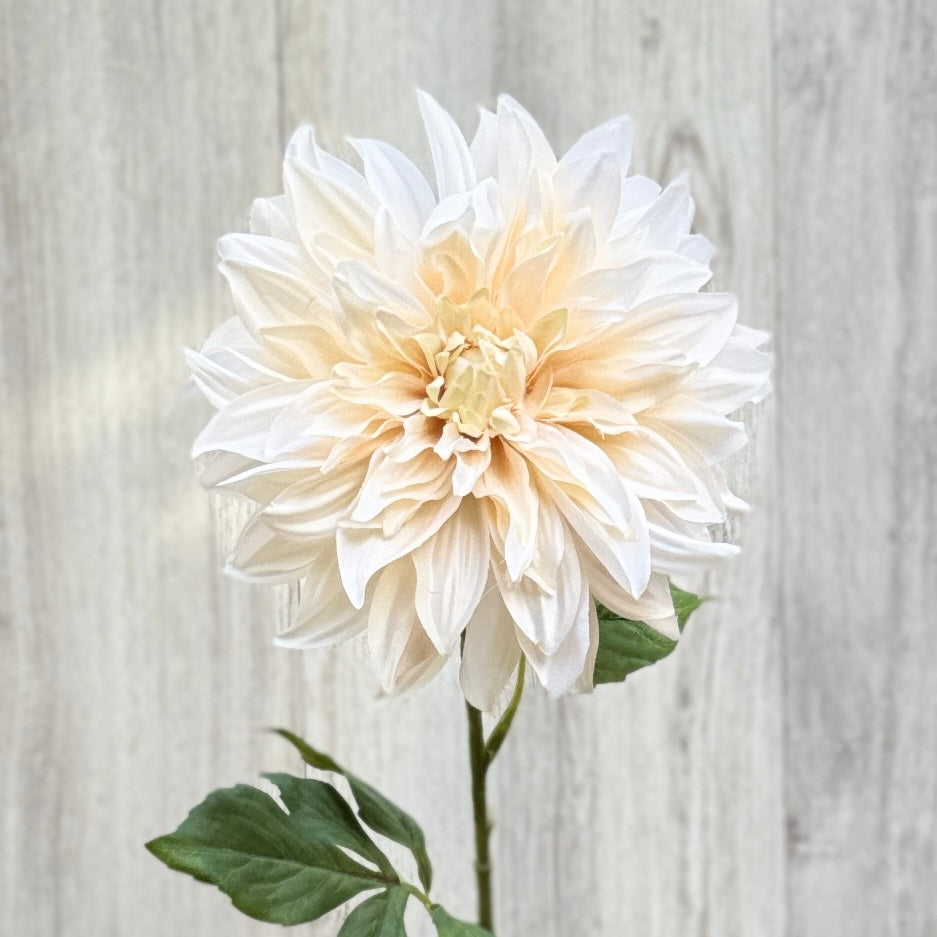 Close up of an artificial dahlia in a creamy white colour, on a neutral background, from My Faux Florist artificial flowers Canada.