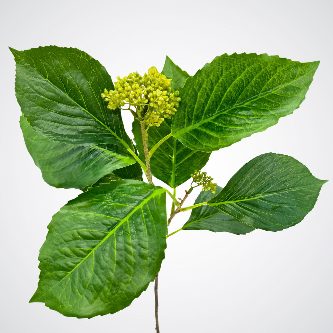 Artificial Hydrangea Leaves