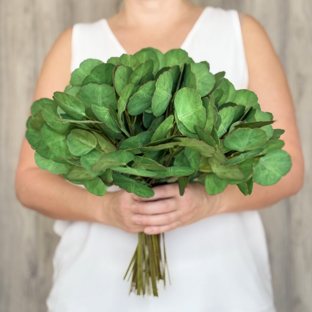 A person holding a bunch of artificial silver dollar eucalyptus leaves.  Real Touch eucalyptus by My Faux Florist Canada.