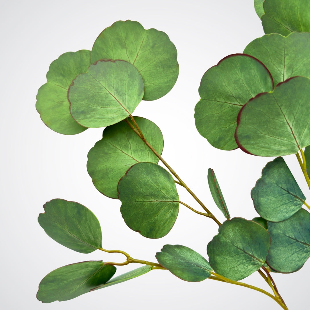 Close up view of leaves on artificial silver dollar eucalyptus stems.  Real Touch eucalyptus by My Faux Florist Canada.
