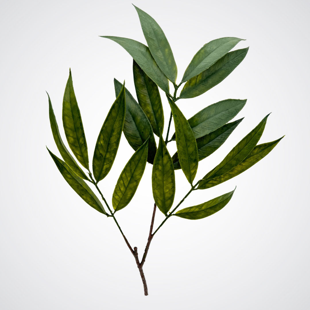 Faux willow leaves with realistic green texture and soft shine, by Faux Florist Canada
