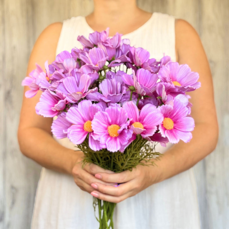 A person holding a bouquet of bright pink artificial cosmos flowers, on a white background, from My Faux Florist Canada.