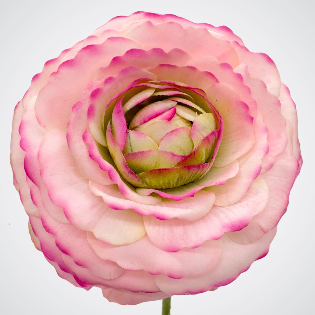 Close-up of a pink artificial ranunculus bloom showing Real Touch petal detail, by Faux Florist Canada