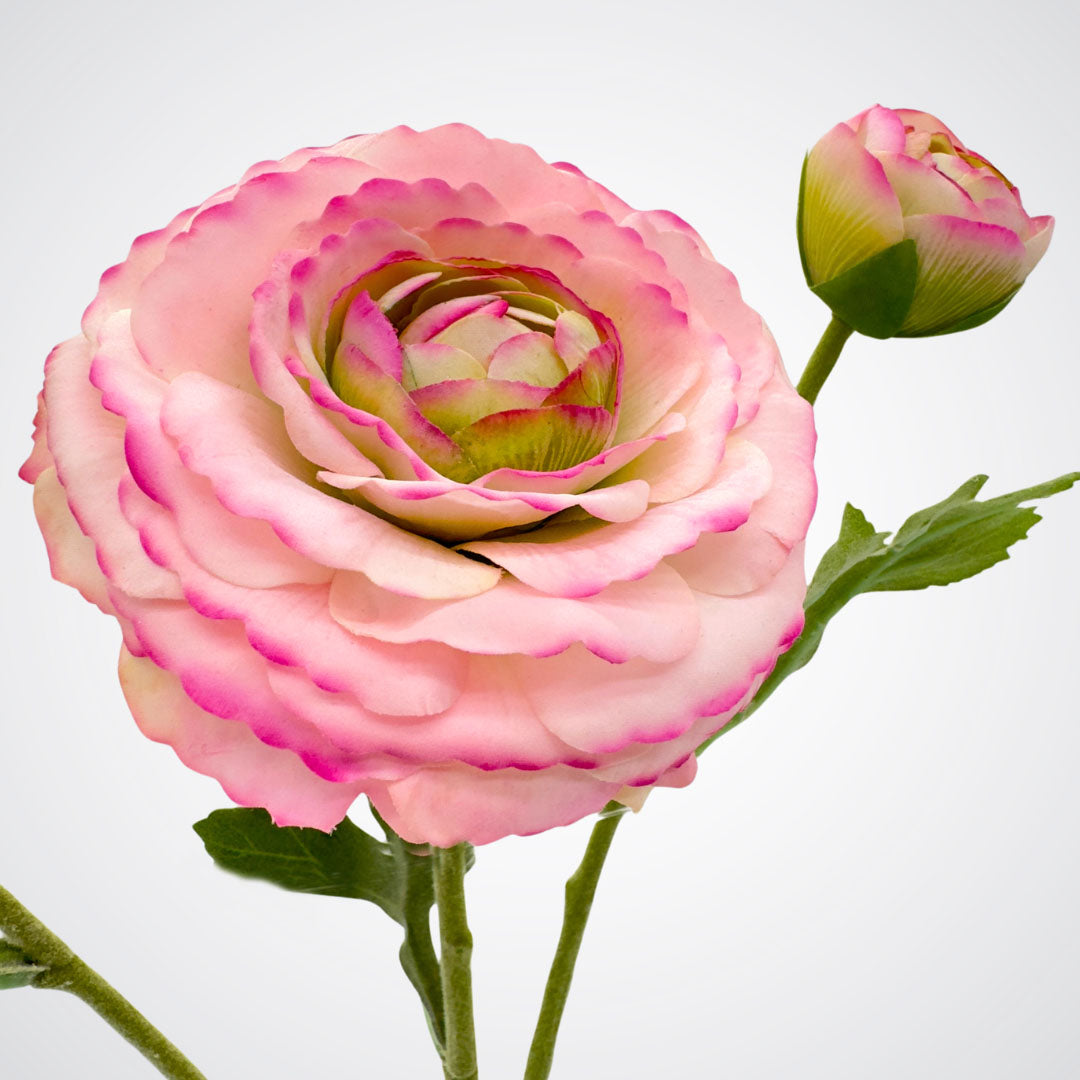 Group of pink artificial ranunculus stems arranged for display, by Faux Florist Canada