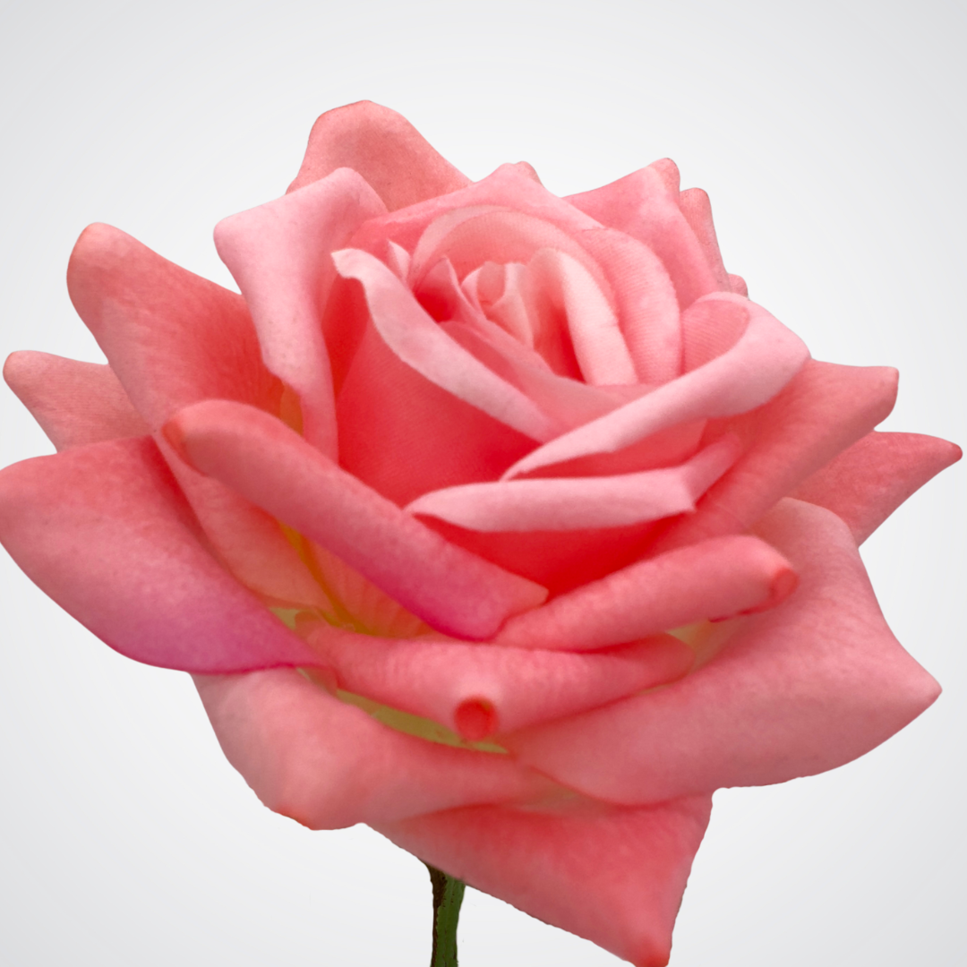 Close up of a bloom from a coral pink artificial tea rose that is Real Touch realistic looking fake rose by My Faux Florist Canada