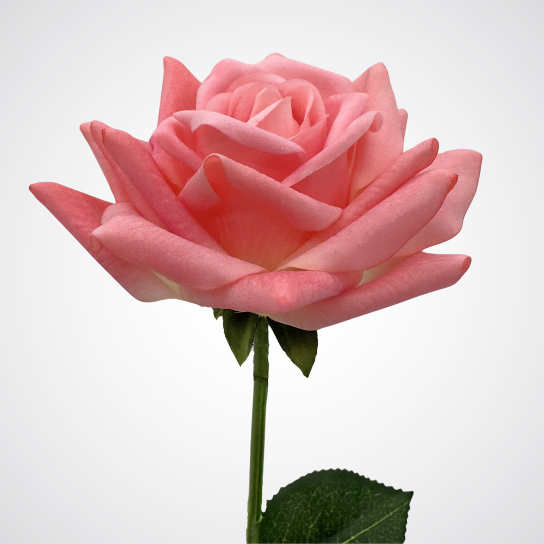 View of bloom of a coral pink artificial tea rose that is Real Touch and a realistic looking fake rose by My Faux Florist Canada