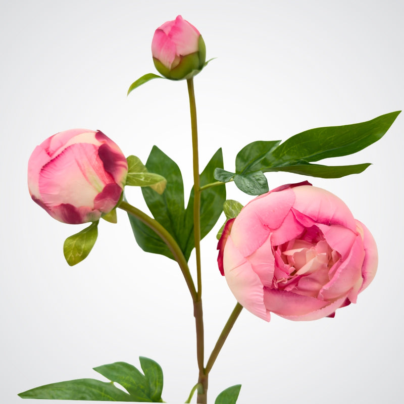 Pink peony flowers with 3 blooms with green leaves on a white background from My Faux Florist Canada