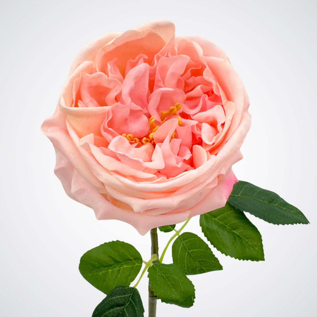 Bloom head of an Austin style artificial rose in a light pink colour with realistic Real Touch petals, from My Faux Florist artificial flowers Canada.