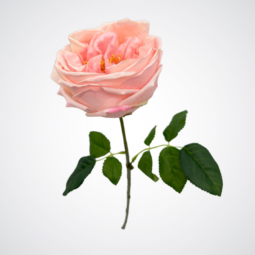 Full view of an Austin style artificial rose in a light pink colour with realistic Real Touch petals, from My Faux Florist artificial flowers Canada.