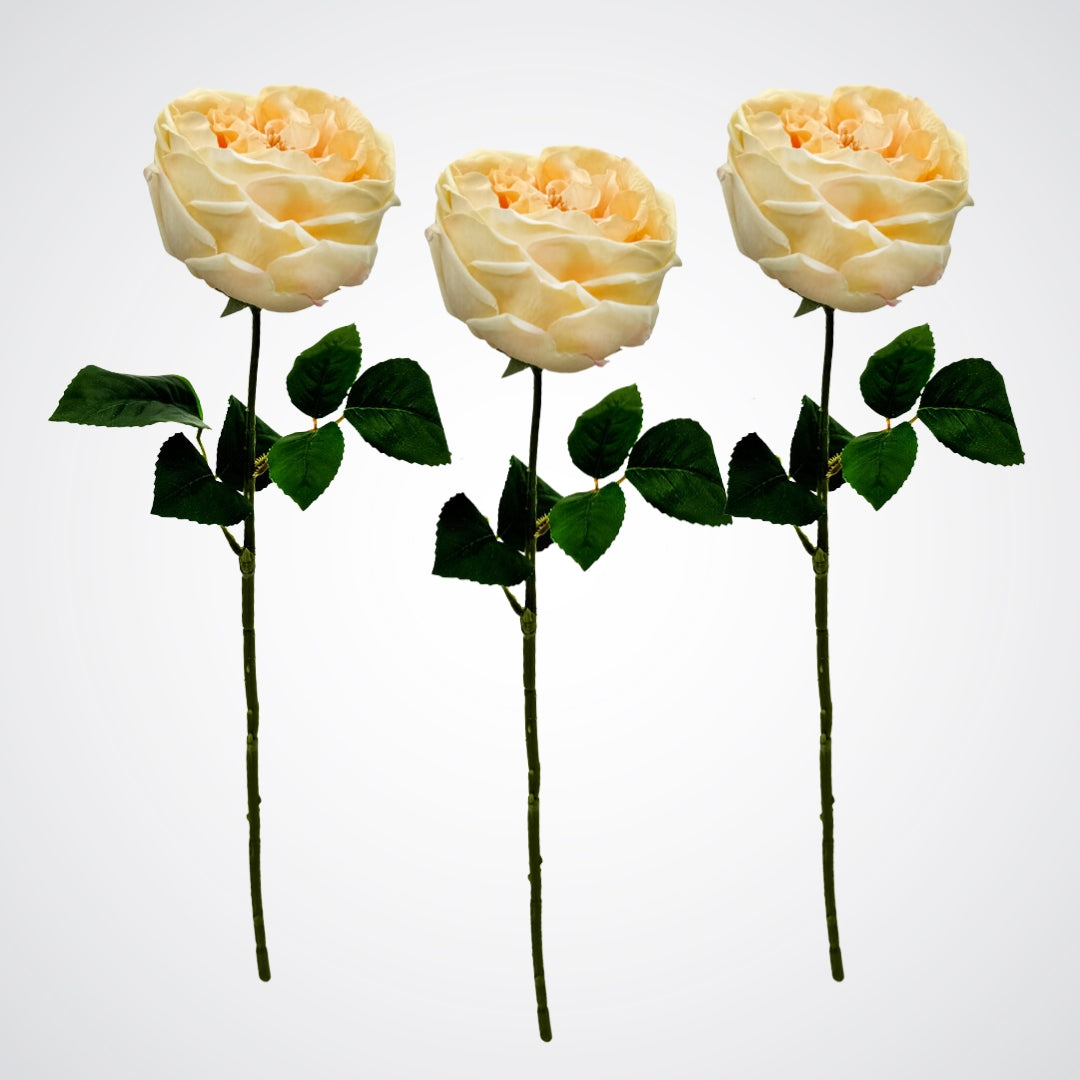 Set of 3 Austin style artificial roses in a champagne colour with realistic Real Touch petals, from My Faux Florist artificial flowers Canada.
