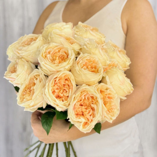 Person holding a bouquet of Austin style artificial roses in a champagne colour with realistic Real Touch petals, from My Faux Florist artificial flowers Canada.