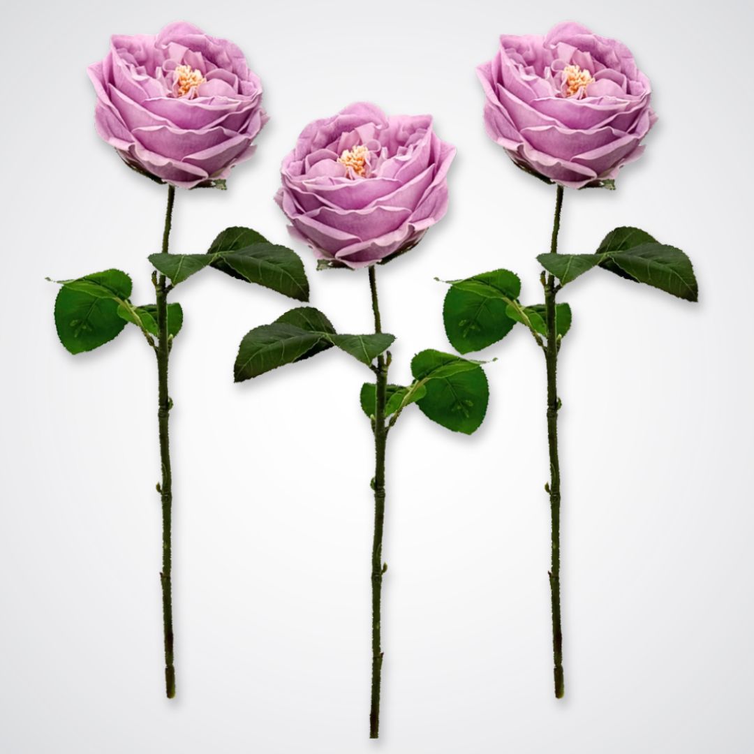 Trio of Austin style artificial roses in a lilac lavender colour with realistic Real Touch petals, from My Faux Florist artificial flowers Canada.