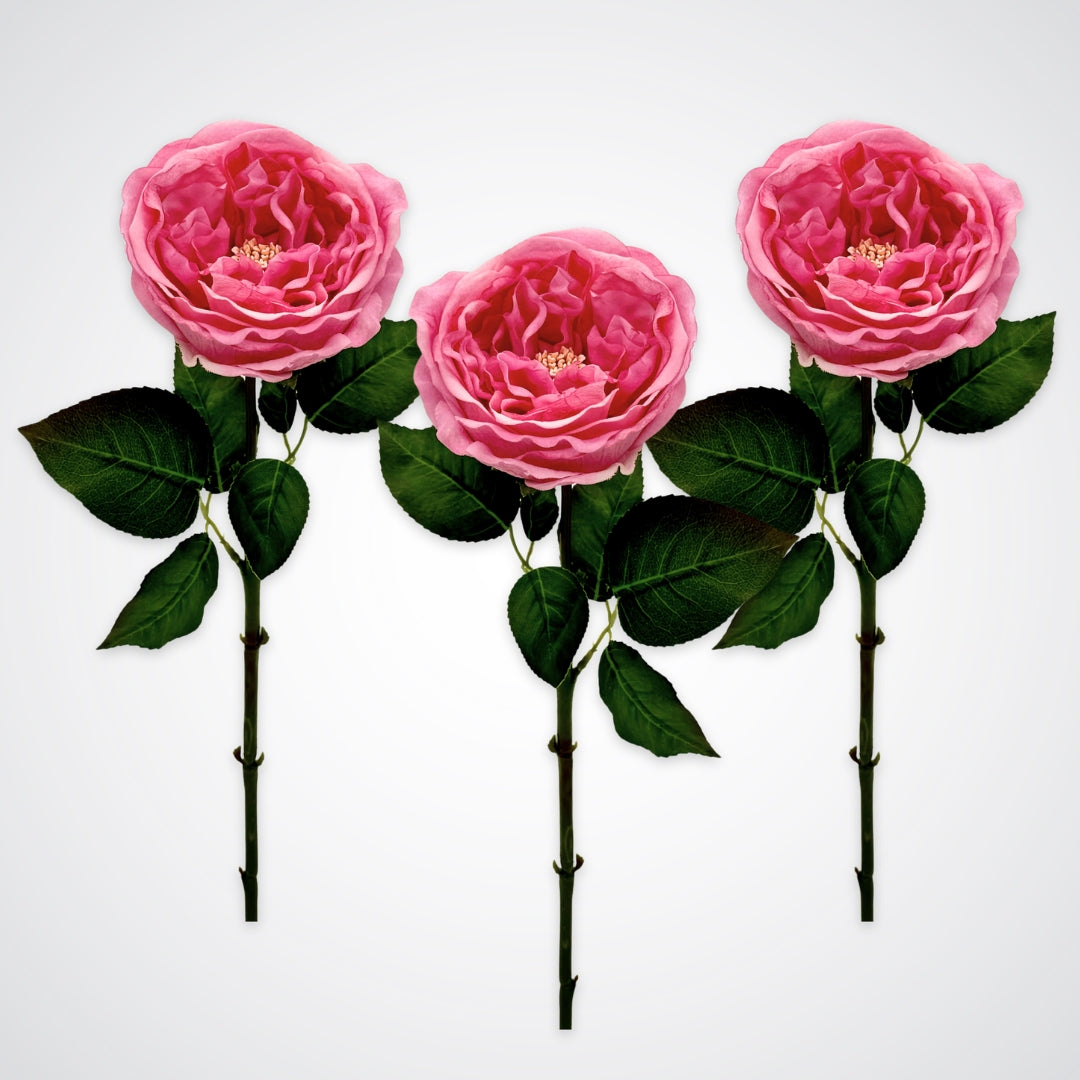 Set of 3 full length Austin style artificial roses in a deep pink colour with realistic Real Touch petals, from My Faux Florist artificial flowers Canada.