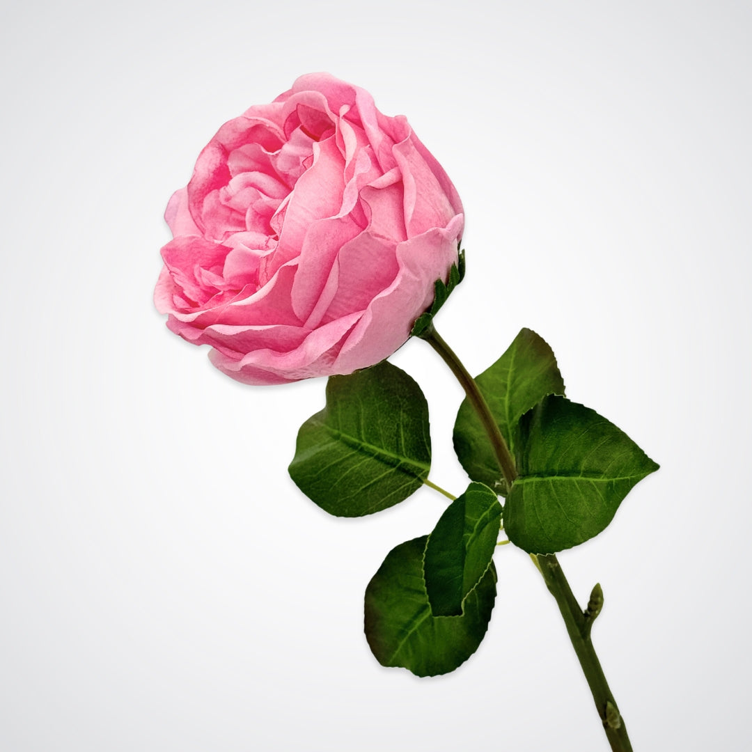 Side view of an Austin style artificial rose in a deep pink colour with realistic Real Touch petals, from My Faux Florist artificial flowers Canada.