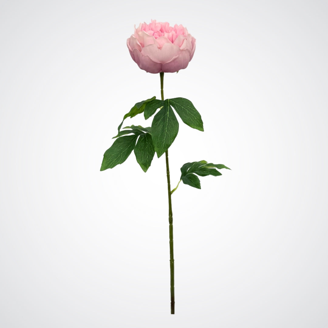 Full length view of an artificial peony in a warm pink colour with realistic Real Touch petals, from My Faux Florist artificial flowers Canada.
