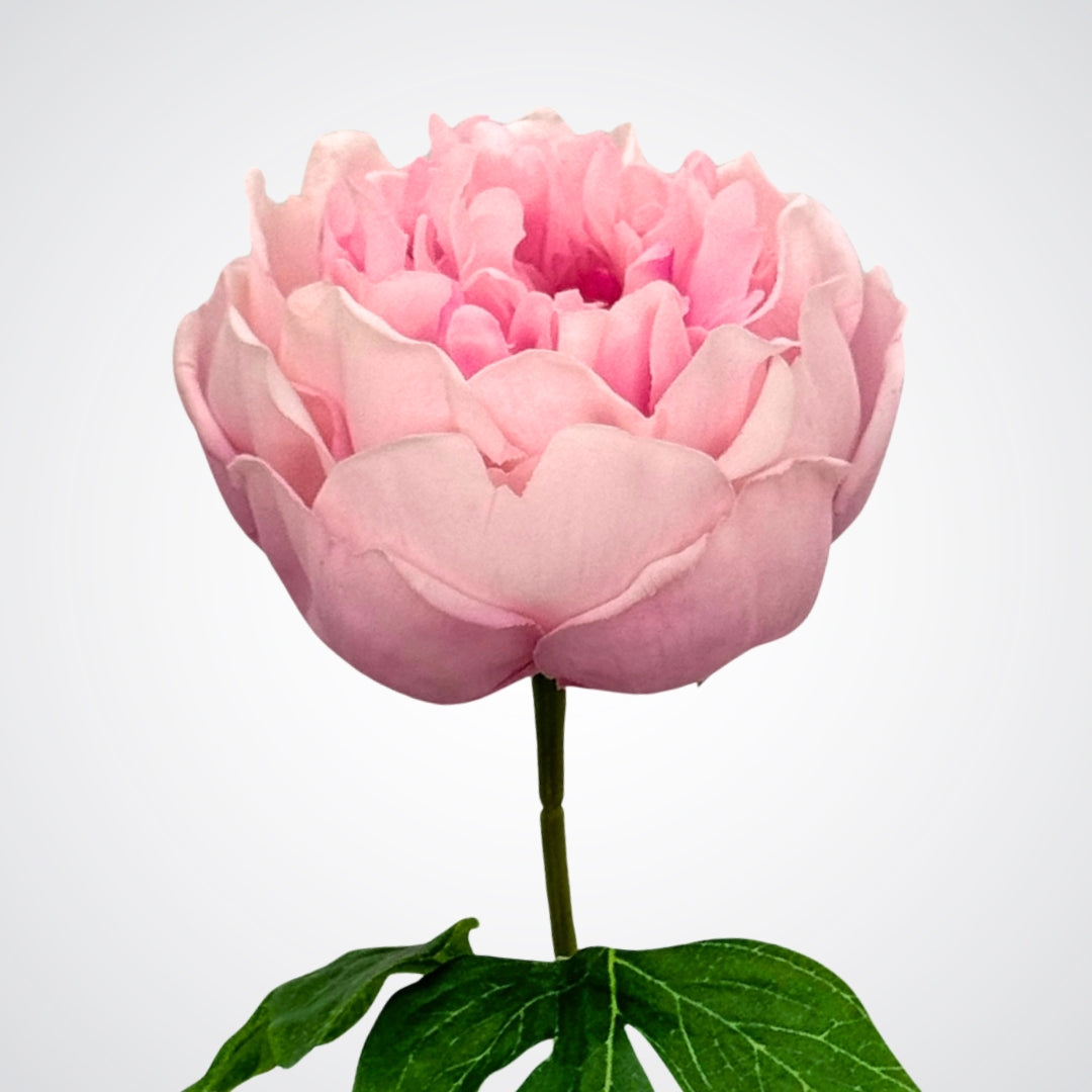 Close up view of the bloom head of an artificial peony in a warm pink colour with realistic Real Touch petals, from My Faux Florist artificial flowers Canada.