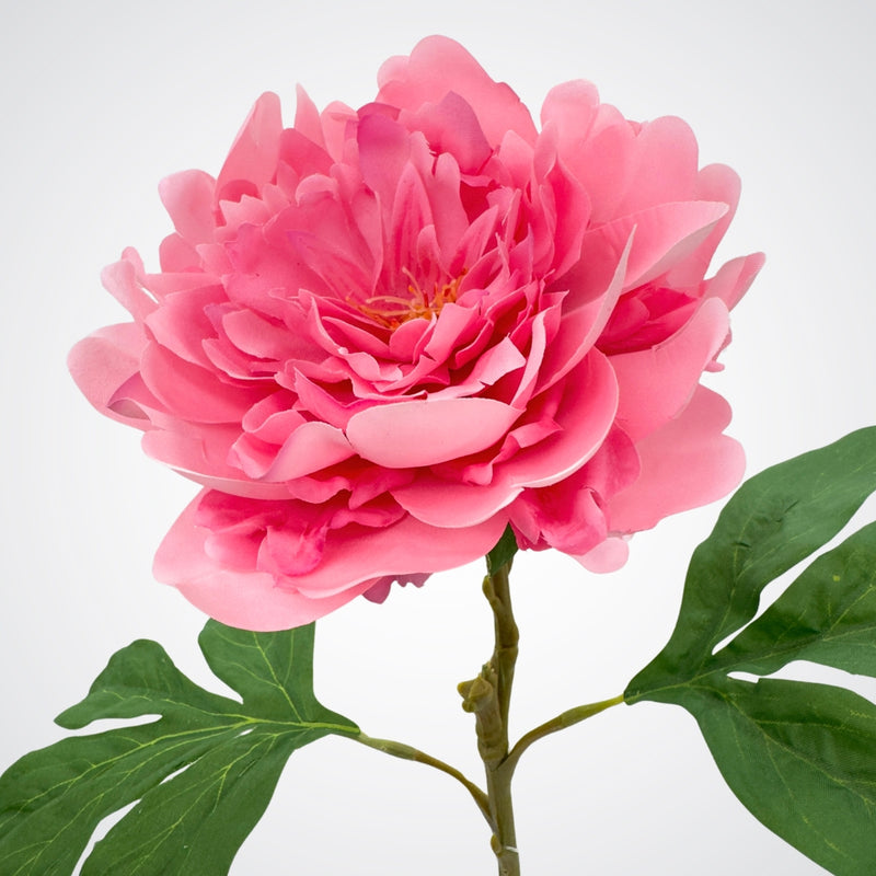 Side view of a pink artificial peony flower from My Faux Florist Canada.