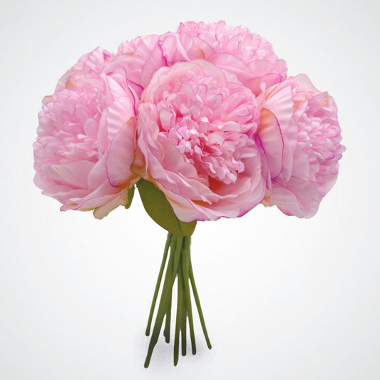 Vintage Pink Peonies