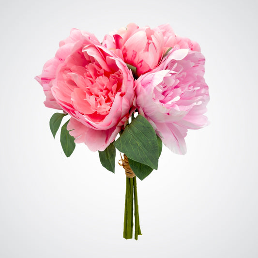 Garden Pink Peonies