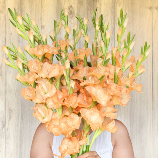 Peach Artificial Gladiolus