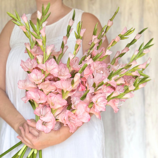 Pink Artificial Gladiolus