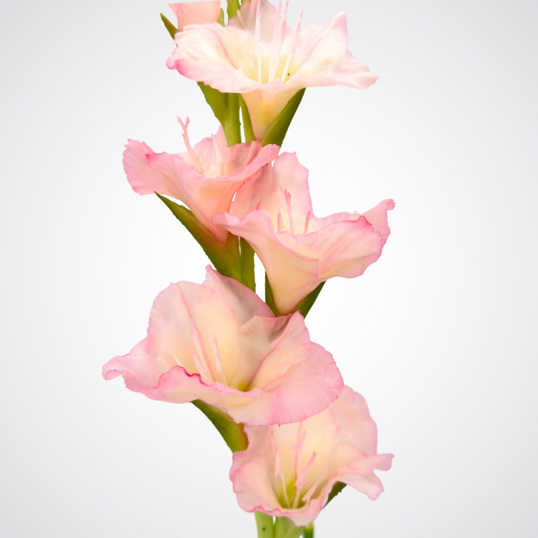 Close up of a pink artificial gladiolus flowers from My Faux Florist Canada
