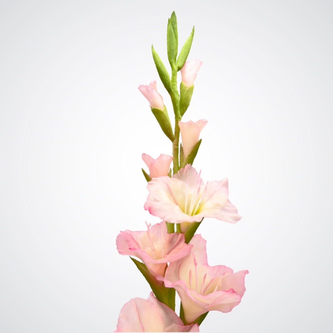 Top tip of a pink  artificial gladiolus flowers from My Faux Florist Canada