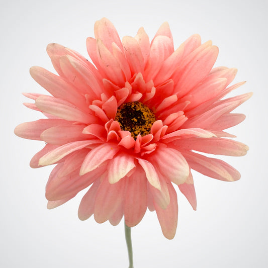 close up of a coral coloured realistic  fake gerbera daisy that is lifelike from My Faux Florist Canada