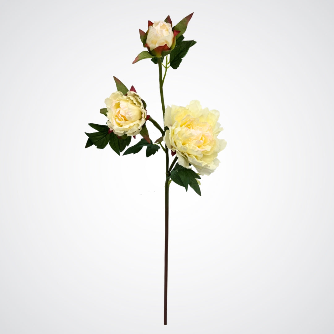 Single faux peony spray stem with multiple blooms in various stages of opening, by Faux Florist Canada