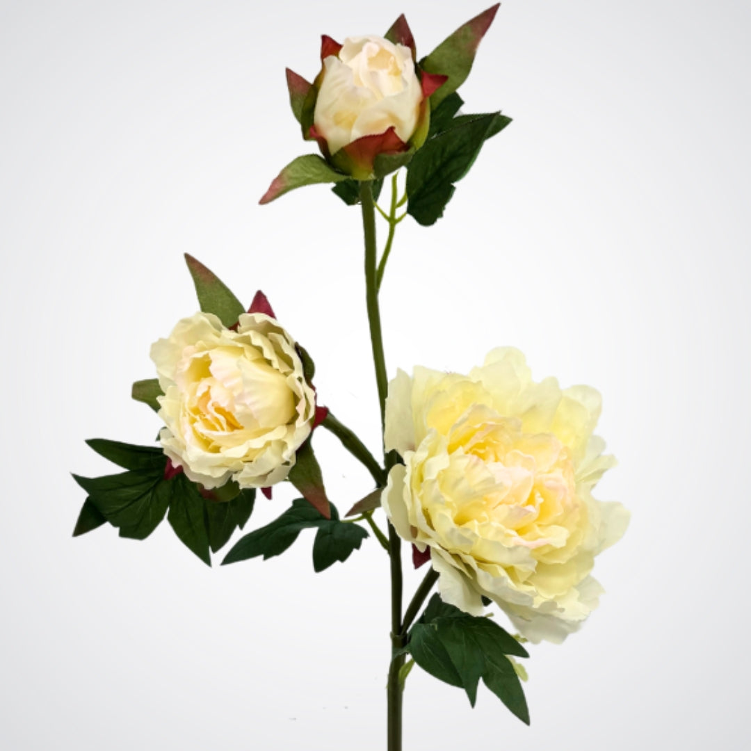 Premium faux peony spray with soft ivory petals and realistic buds, by Faux Florist Canada