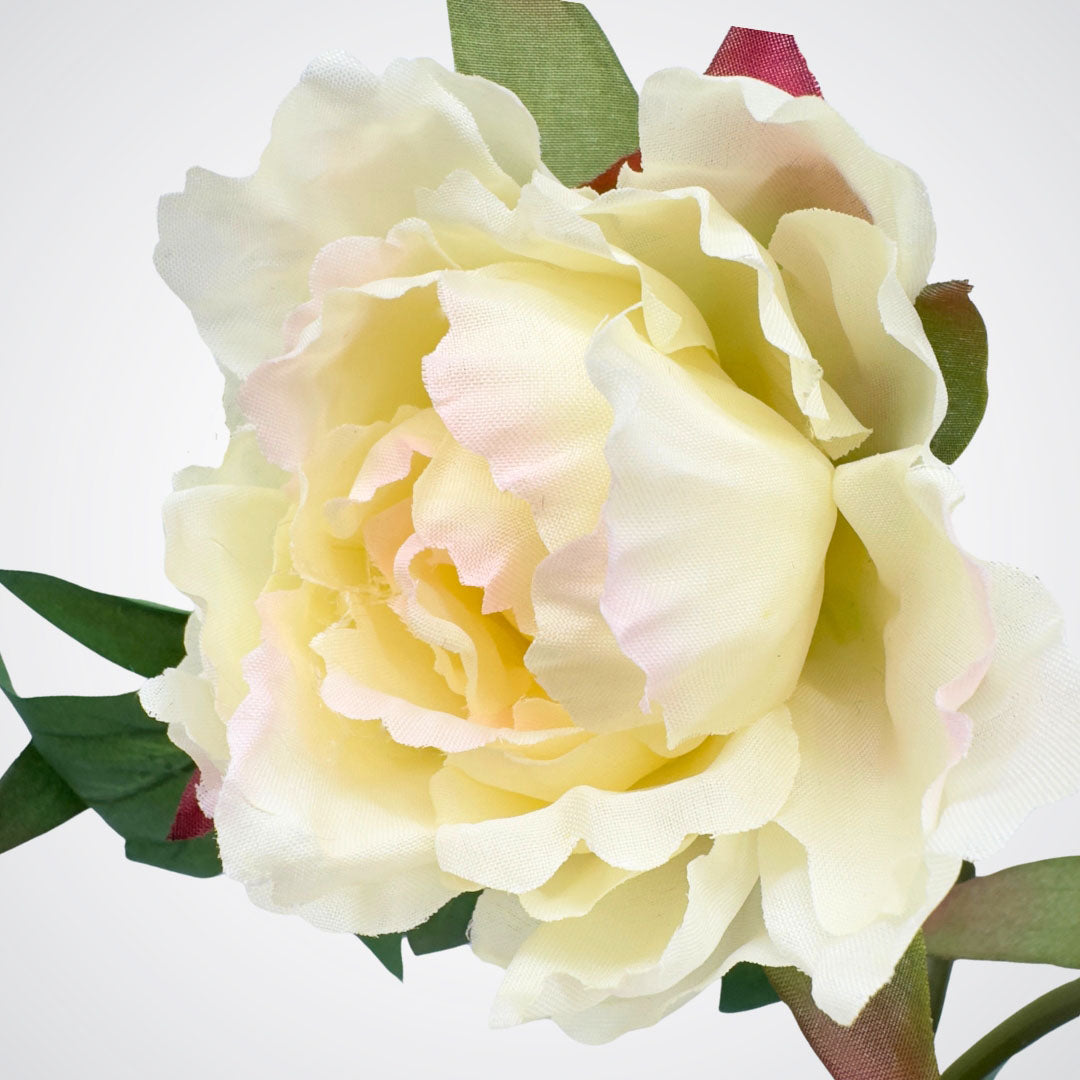 Close-up of a fully ruffled artificial ivory peony bloom with pink accents, by Faux Florist Canada