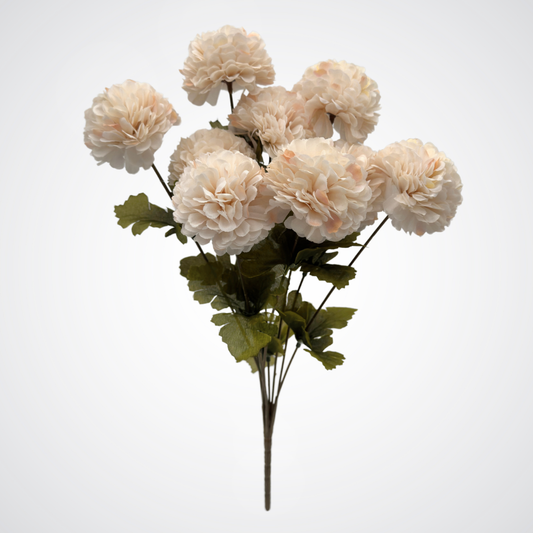 Cream Chrysanthemum Bush