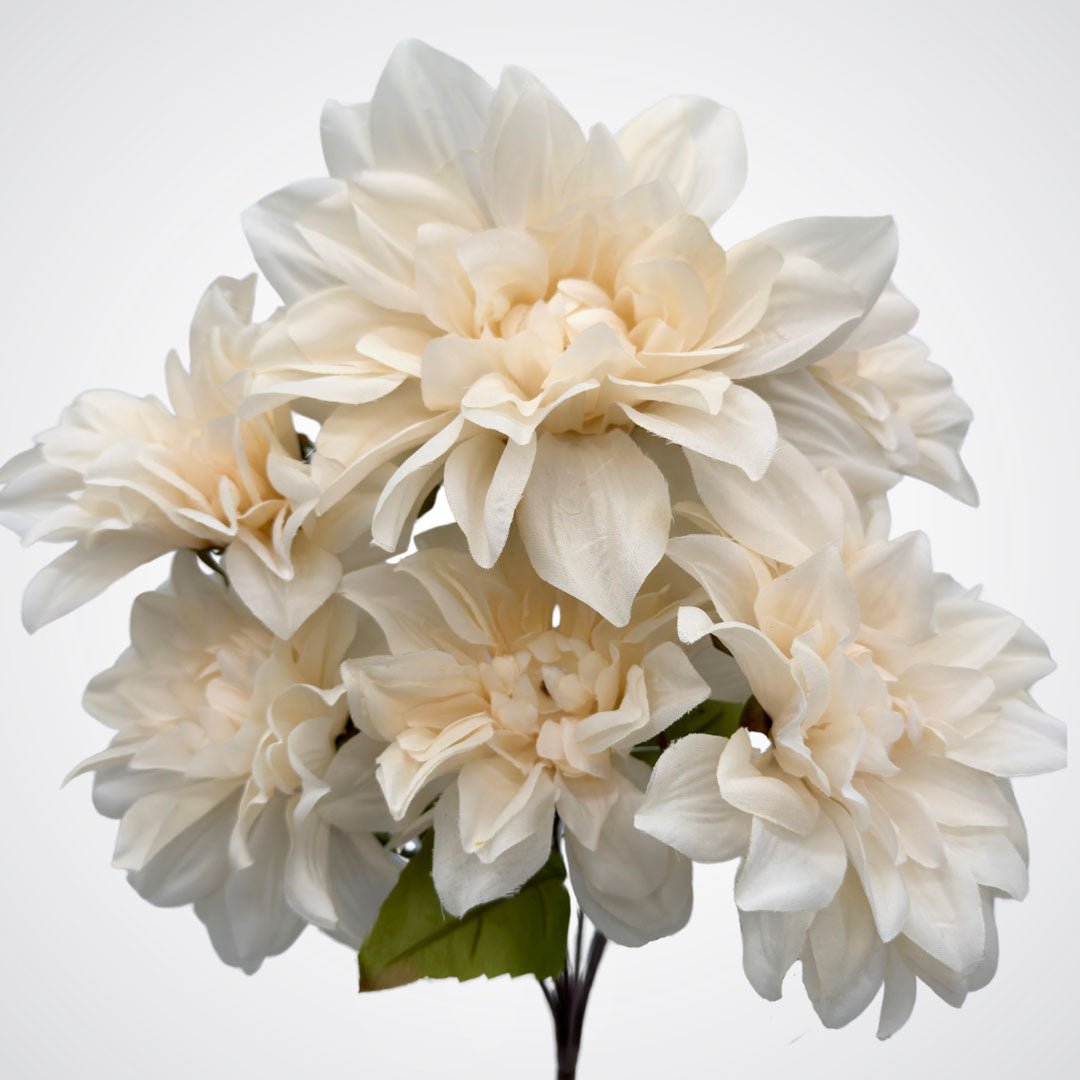 Blooms on an artificial dahlia bush in a creamy white colour, on a white background, from My Faux Florist artificial flowers Canada.