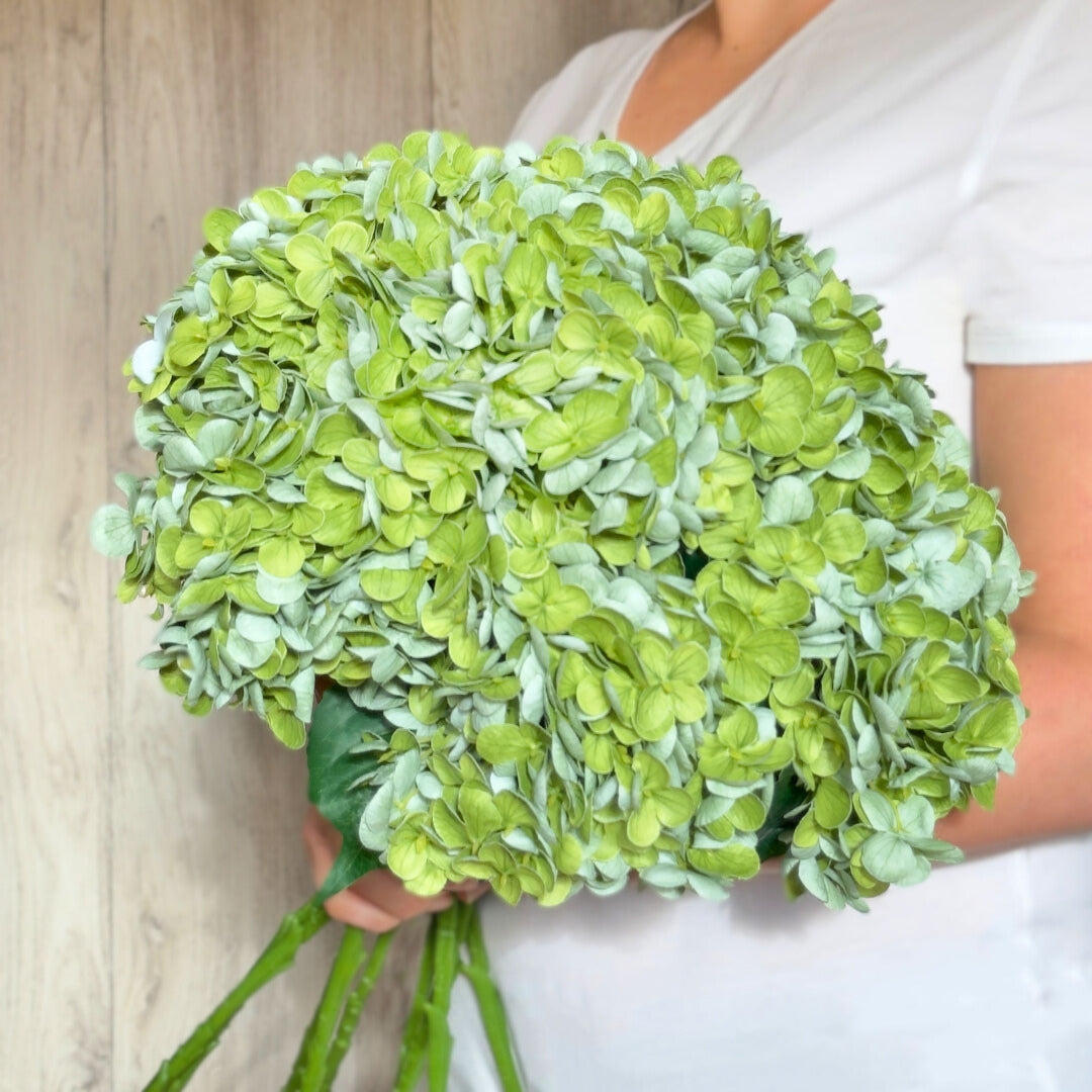 Person holding a large bouquet of  artificial hydrangea in an antique green colour with realistic Real Touch petals and detailing, from My Faux Florist artificial flowers Canada.