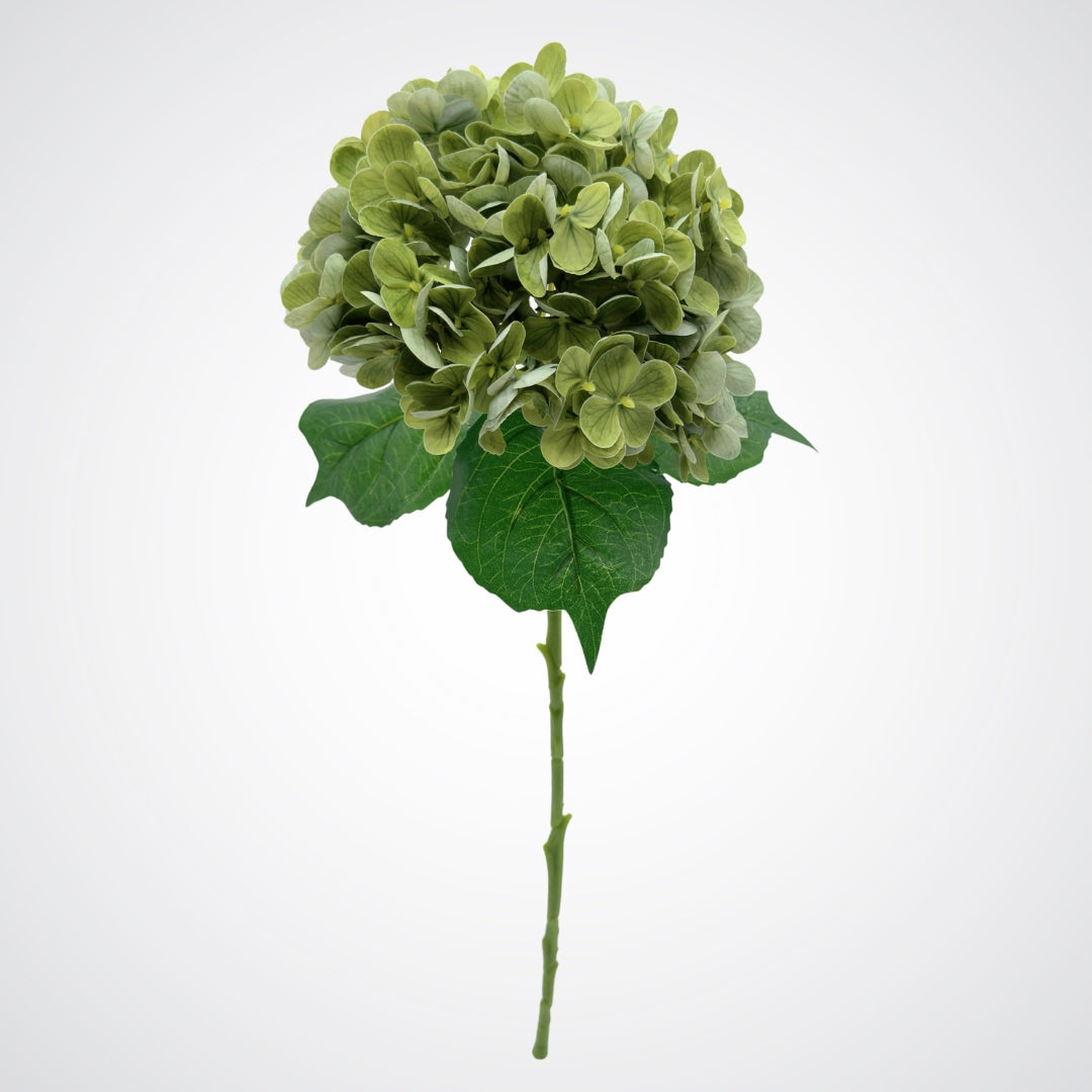 Single full length artificial hydrangea in an antique green colour with realistic Real Touch petals and detailing, from My Faux Florist artificial flowers Canada.